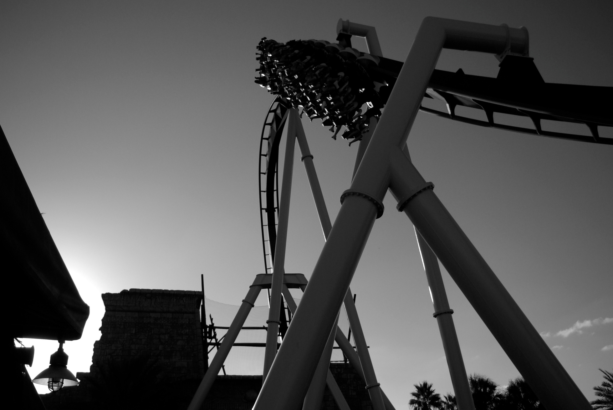 Montu-Busch Gardens B&W